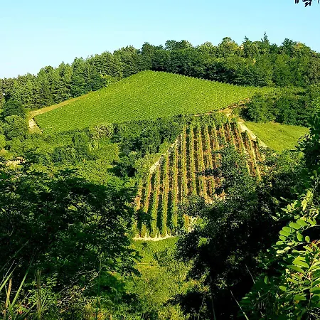 Azienda Agricola Biologica Le Lucciole * ברטינורו