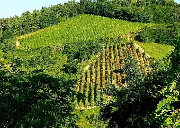 Azienda Agricola Biologica Le Lucciole * 베르티노로