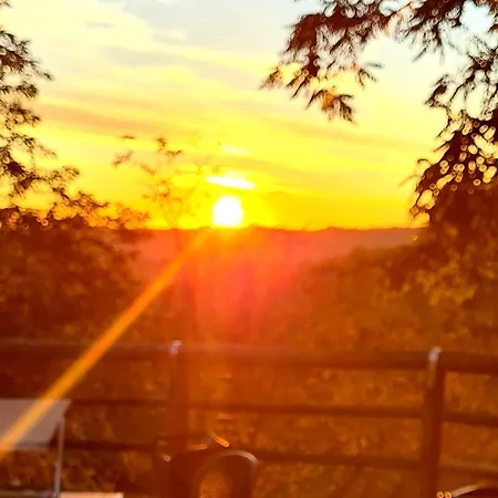 Azienda Agricola Biologica Le Lucciole Farm stay Bertinoro