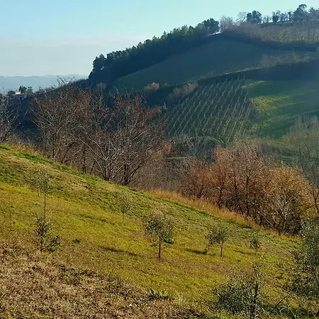Azienda Agricola Biologica Le Lucciole Фермерский дом Бертиноро
