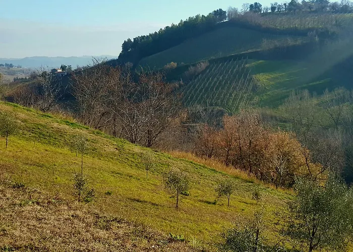 Azienda Agricola Biologica Le Lucciole Farmház Bertinoro